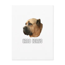 Cane Corso Post Card