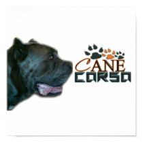 Cane Corso Poster(P) posters by DAZELEWGRAPHIX Cane Corso Poster(P) posters