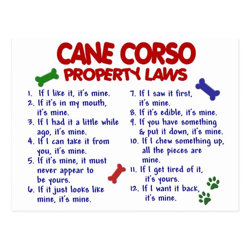 CANE CORSO Property Laws 2 Postcard Zazzle