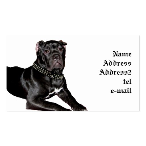Cane corso puppy business card (front side)