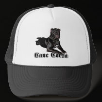 Cane Corso puppy hat