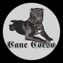 Cane Corso puppy stickers stickers