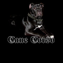 Cane Corso puppy tank top t-shirts by ritmoboxer Cane Corso puppy tank top t-shirts