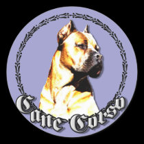 Cane corso stickers stickers