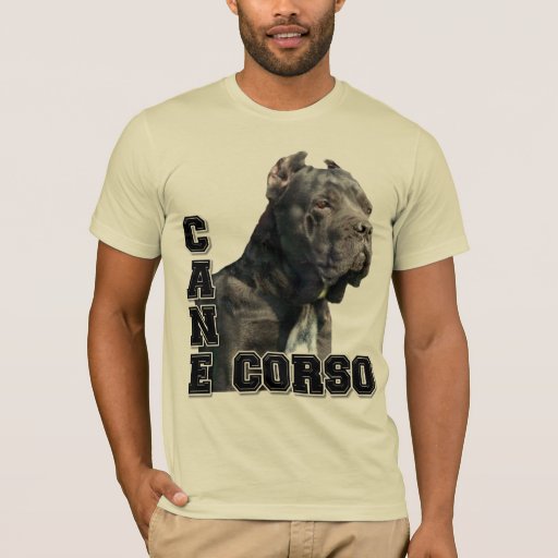 cane corso shirt