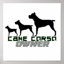 Cane Corsoe Owner Poster