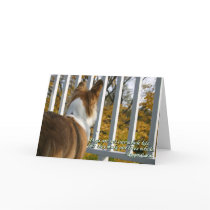 Canine Sympathy Card