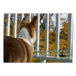 Canine Sympathy Card