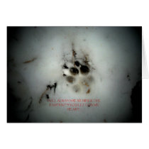 Canine Sympathy Condolance Card cards
