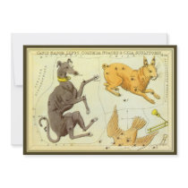 Canis Major, Lepus, Columba Noachi and Caelum Custom Invites