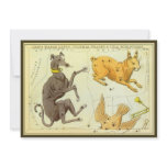 Canis Major, Lepus, Columba Noachi and Caelum Custom Invites