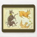 Canis Major, Lepus, Columba Noachi and Caelum mousepads