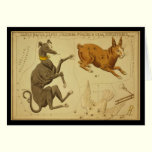 Canis Major, Lepus, Columba Noachi Cela Sculptoris cards