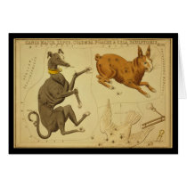 Canis Major, Lepus, Columba Noachi Cela Sculptoris cards by ZephyrusBooks Canis Major, Lepus, Columba Noachi Cela Sculptoris cards