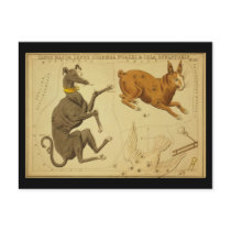 Canis Major, Lepus, Columba Noachi Cela Sculptoris postcards