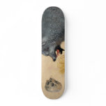 Canis Skateboard