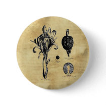 Canna Botanica buttons by SunshineHill Canna Botanica buttons