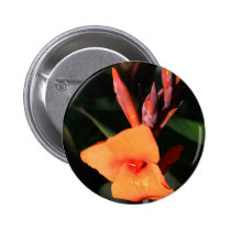 Canna Lily Flower button buttons