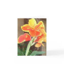 Canna Lily notecard by wendyqzx Canna Lily notecard