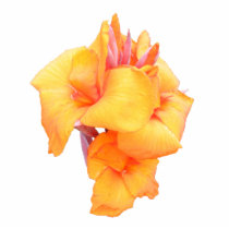 Canna Lily ~ ornament photo sculptures by Andy2302 Canna Lily ~ ornament photo sculptures