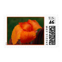Canna postage by SilenasImages Canna postage