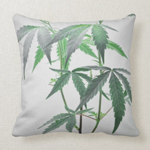Cannabis Pillow