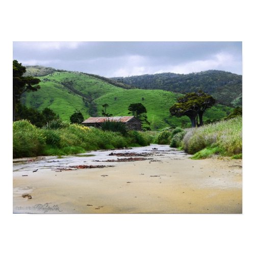 Cannibal Bay : Caitlins : New Zealand Poster print