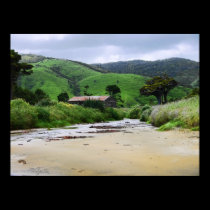 Cannibal Bay : Caitlins : New Zealand Poster posters