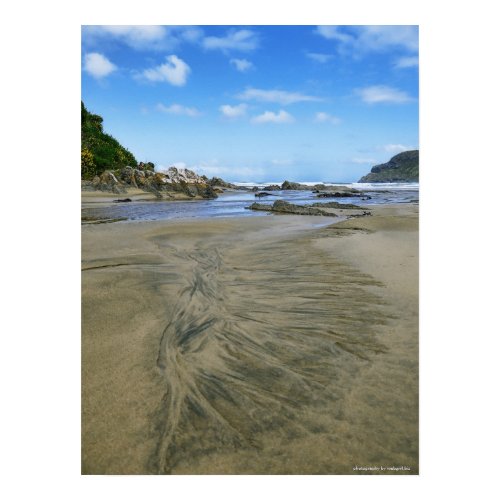 Cannibal Bay, New Zealand Poster print