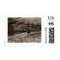 cannon county farm postage by bhbphotos cannon county farm postage