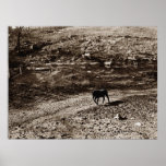 Cannon County Farm Print