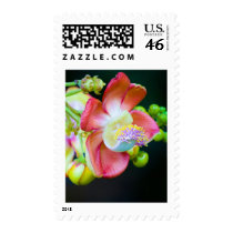 Cannonball Flower stamps