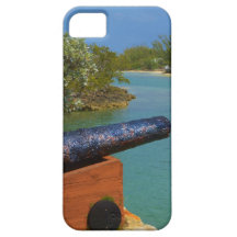 Cannonball!!! iPhone 5 Covers