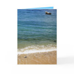 canoe cards