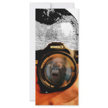 Canon Rack Card Template
