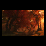 Canopy Creek (Autumn)