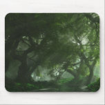 Canopy Creek Mousepad