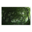 Canopy Creek posters by digitalblasphemy Canopy Creek posters