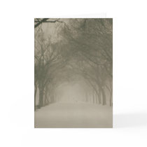 Canopy in a snowstorm cards