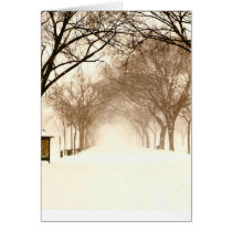 Canopy in a snowstorm with poster pillar cards
