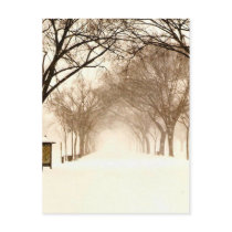 Canopy in a snowstorm with poster pillar-original postcards