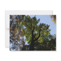 canopy invitations by deangrevitt canopy invitations