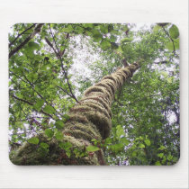Canopy Mousepad by broomnhammer Canopy Mousepad