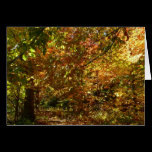 Canopy of Fall Leaves Card (Blank Inside)