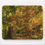 Canopy of Fall Leaves Mousepad