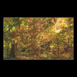 Canopy of Fall Leaves Sticker