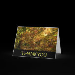 Canopy of Fall Leaves Thank You Card (Blank Inside