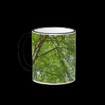 Canopy of Spring Leaves Mug
