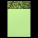 Canopy of Spring Leaves Stationery