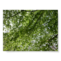 Canopy posters by HLawver Canopy posters